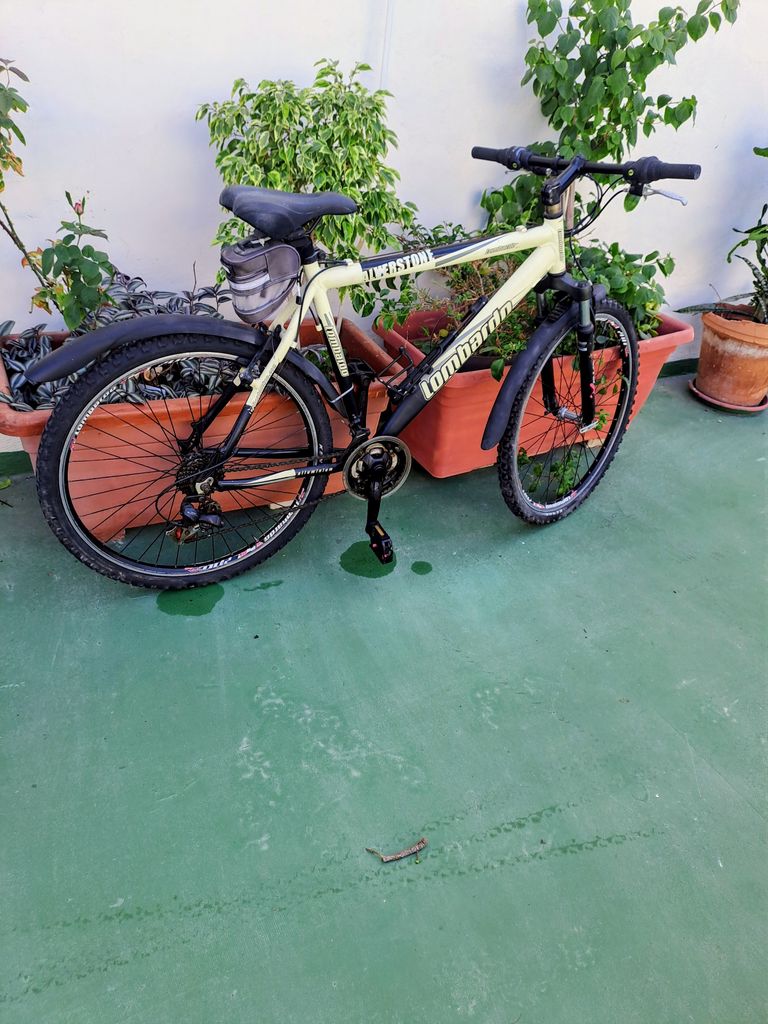 Mountain bike