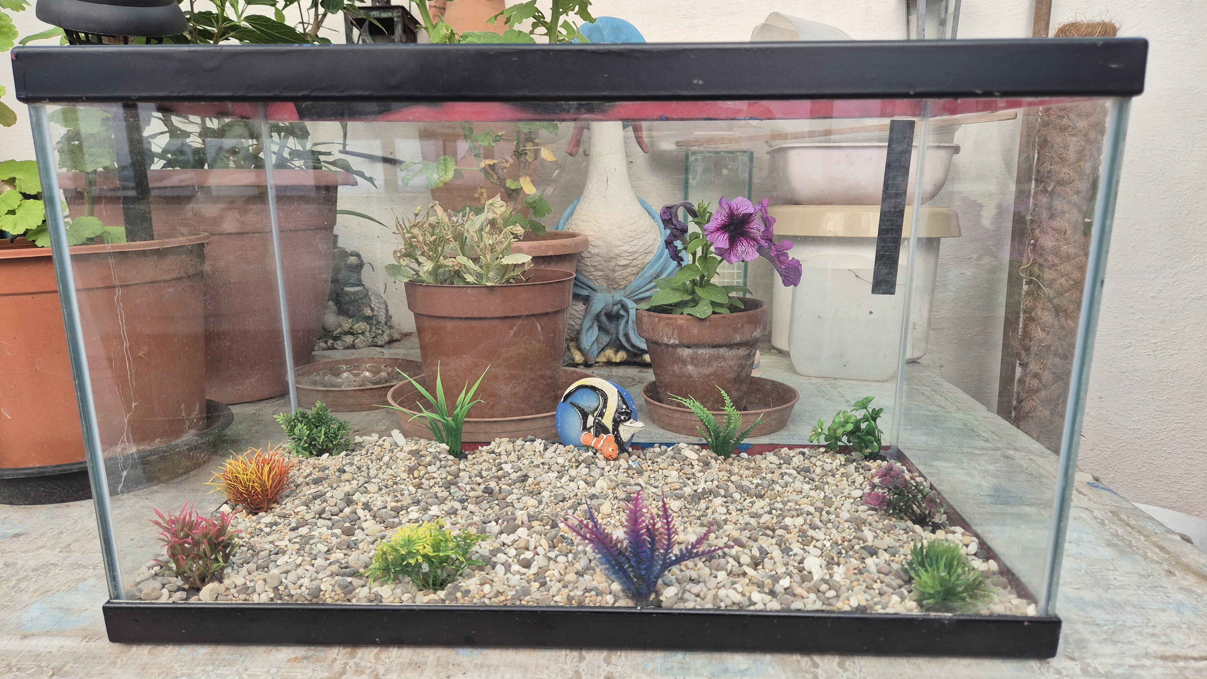 Aquarium for sale 25 x 30 x 50 cm