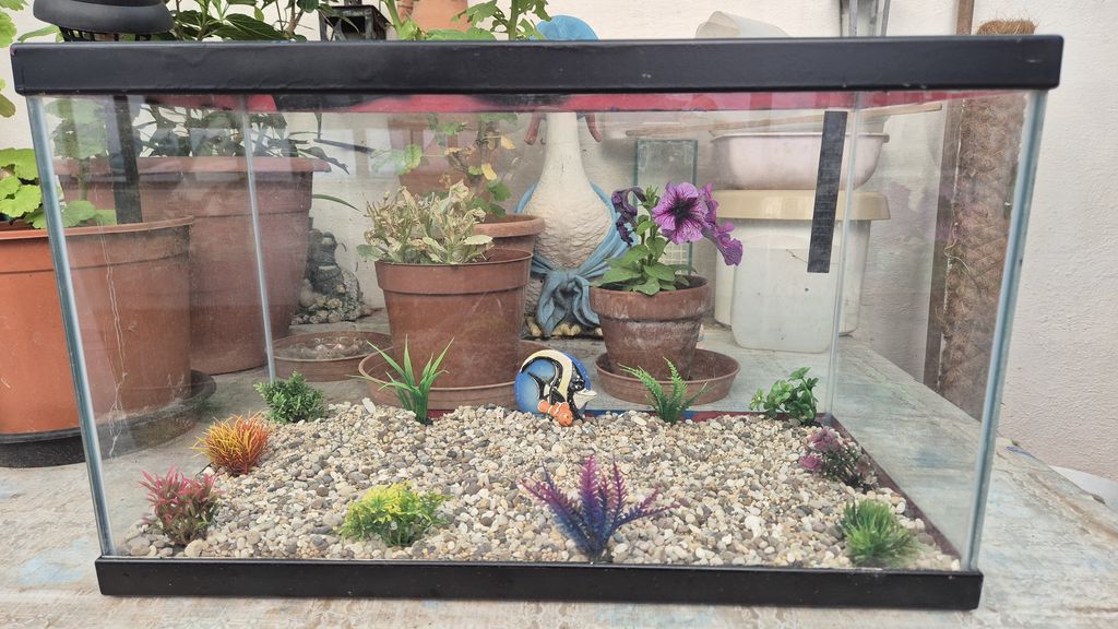 Aquarium for sale 25 x 30 x 50 cm