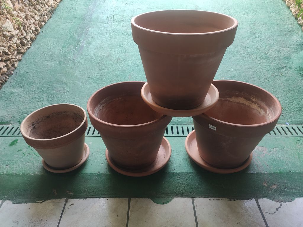 4 Terracotta Large & 1 small Pots & Saucer € 100